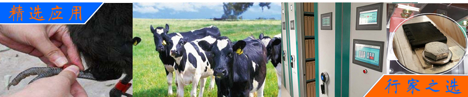 RFID解决方案|畜牧业动物管理/资产管理/无源测温/宠物管理 - RFID阅读器产品中心